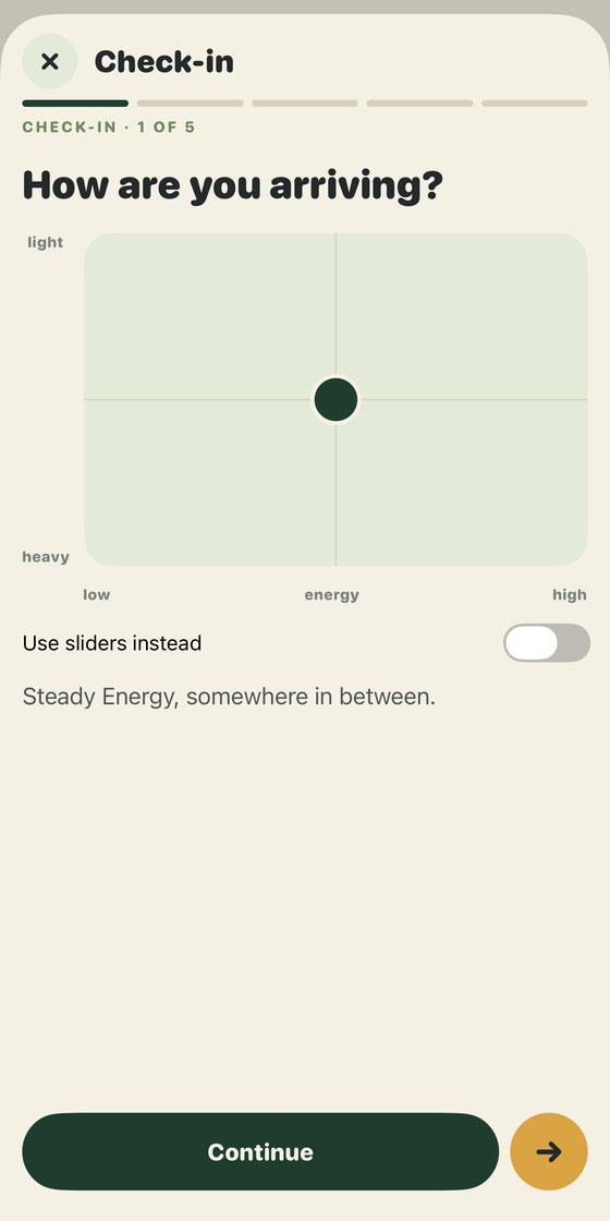 The first check-in card, headed How are you arriving?, showing a square pad labelled light to heavy down one side and low to high energy along the bottom, with a single dot placed in the centre, a Use sliders instead toggle beneath it, and the reading Steady Energy, somewhere in between.