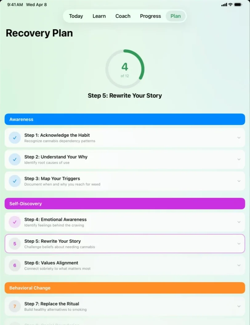 Personal recovery plan roadmap