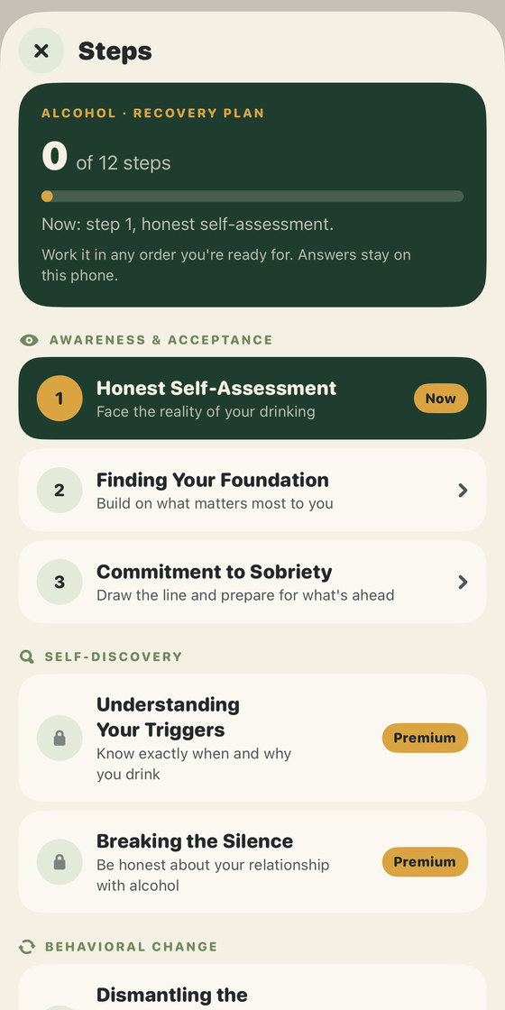The Steps screen for an alcohol recovery plan, reading 0 of 12 steps and Work it in any order you're ready for. Answers stay on this phone. Under the heading Awareness and Acceptance the first three steps are open, and under Self-Discovery the next two show padlocks and Premium badges.